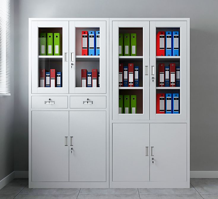 Office Almirahs: Institutional Storage Solutions